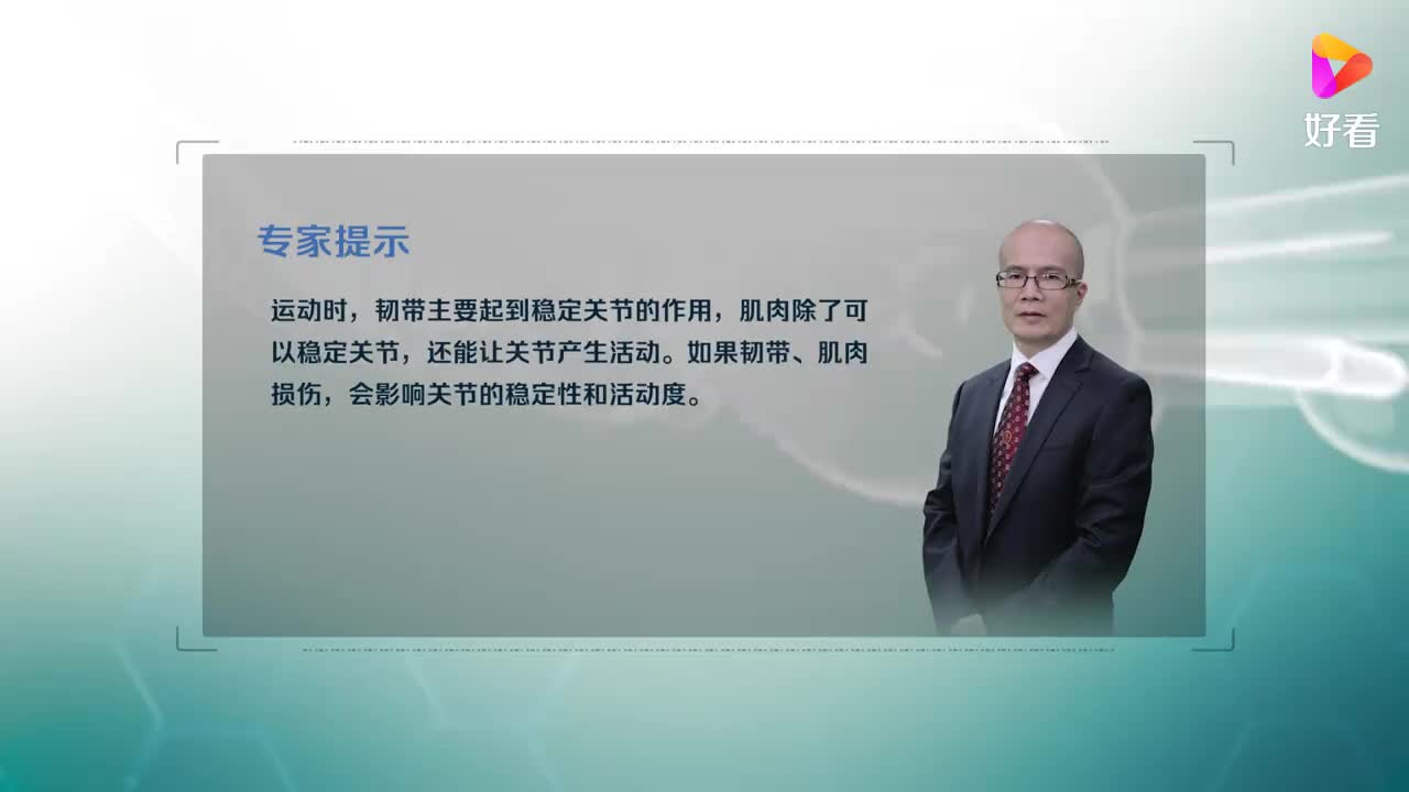 运动时，肌肉、韧带、关节是什么样的关系