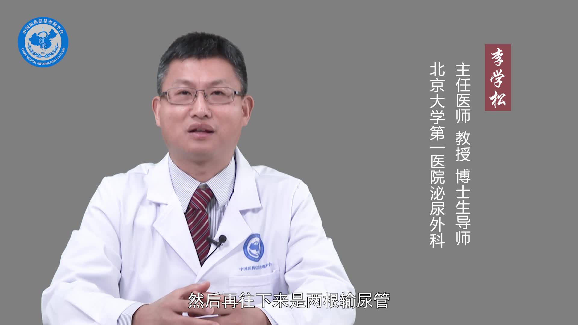 人体泌尿系统包括哪些器官？